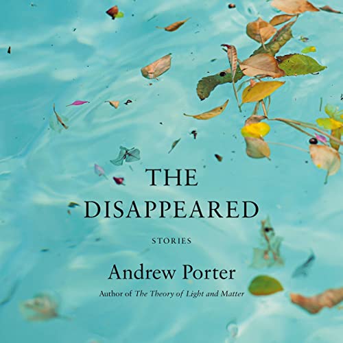 The Disappeared: Stories - Product Imagery