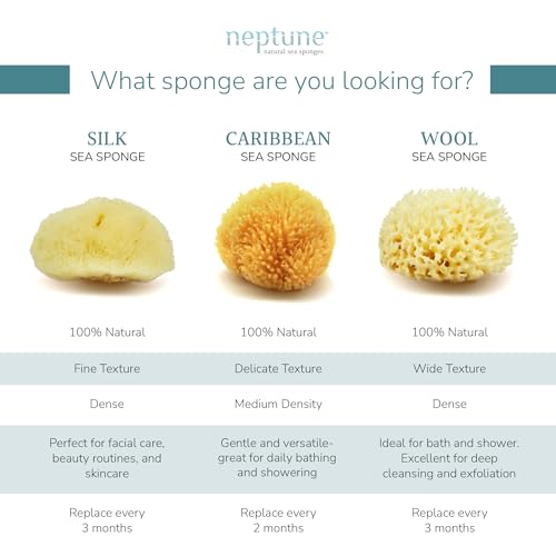 Neptune Caribbean Sea Sponge, Extra Large, Approx. 7-8 in, - Product Imagery