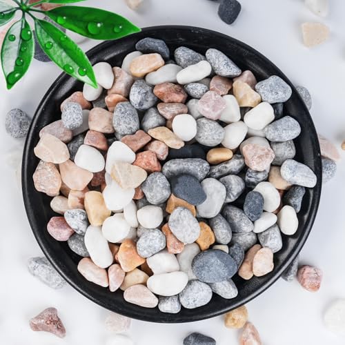 SIDONG 10 LB Natural Mixed Color Gravel Pebbles 2 5 Inch - SIDONG Official Imagery - 1