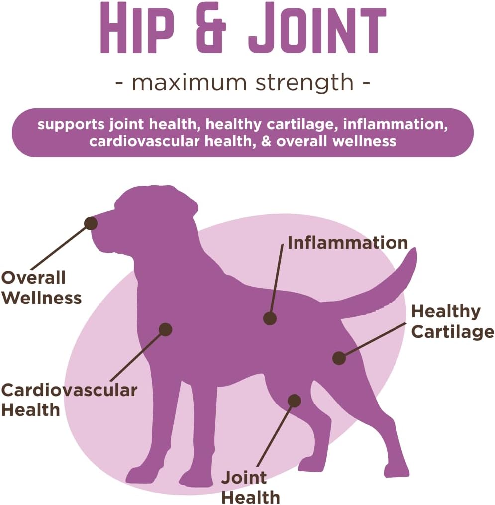 VetPro Complete dog hip and joint supplement for arthritis pain relief, showing a container of Dr. Joseph's VetPro Complete formula.