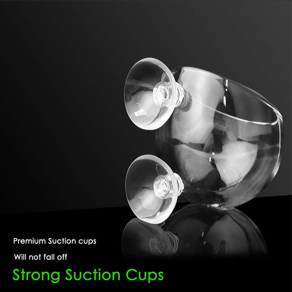 capetsma 4X Crystal Glass Aquarium Plant Pot Aquarium - capetsma Official Imagery - 7
