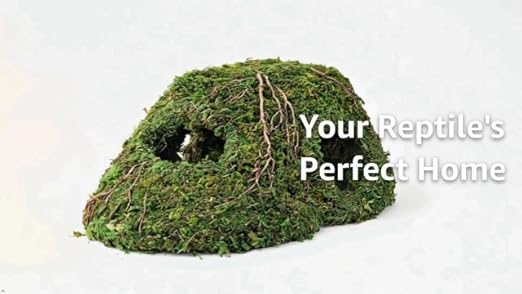 Galápagos Mossy Sapa Corner Hide for reptiles, amphibians, and invertebrates, natural, secure, with mossy exterior, 10x5.5x4.5 inches.