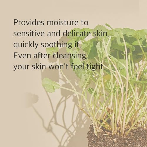 mixsoon Centella Cleansing Foam Face Wash with Cica, Low pH - Product Imagery