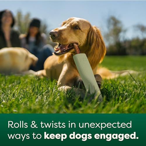 Earth Rated Dog Toy, Enrichment Toys for Adult and Puppy Dogs, - Product Imagery