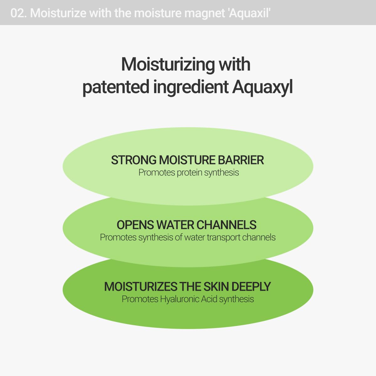 ROVECTIN Calming Lotus Water Cream - ROVECTIN Official Imagery - 7