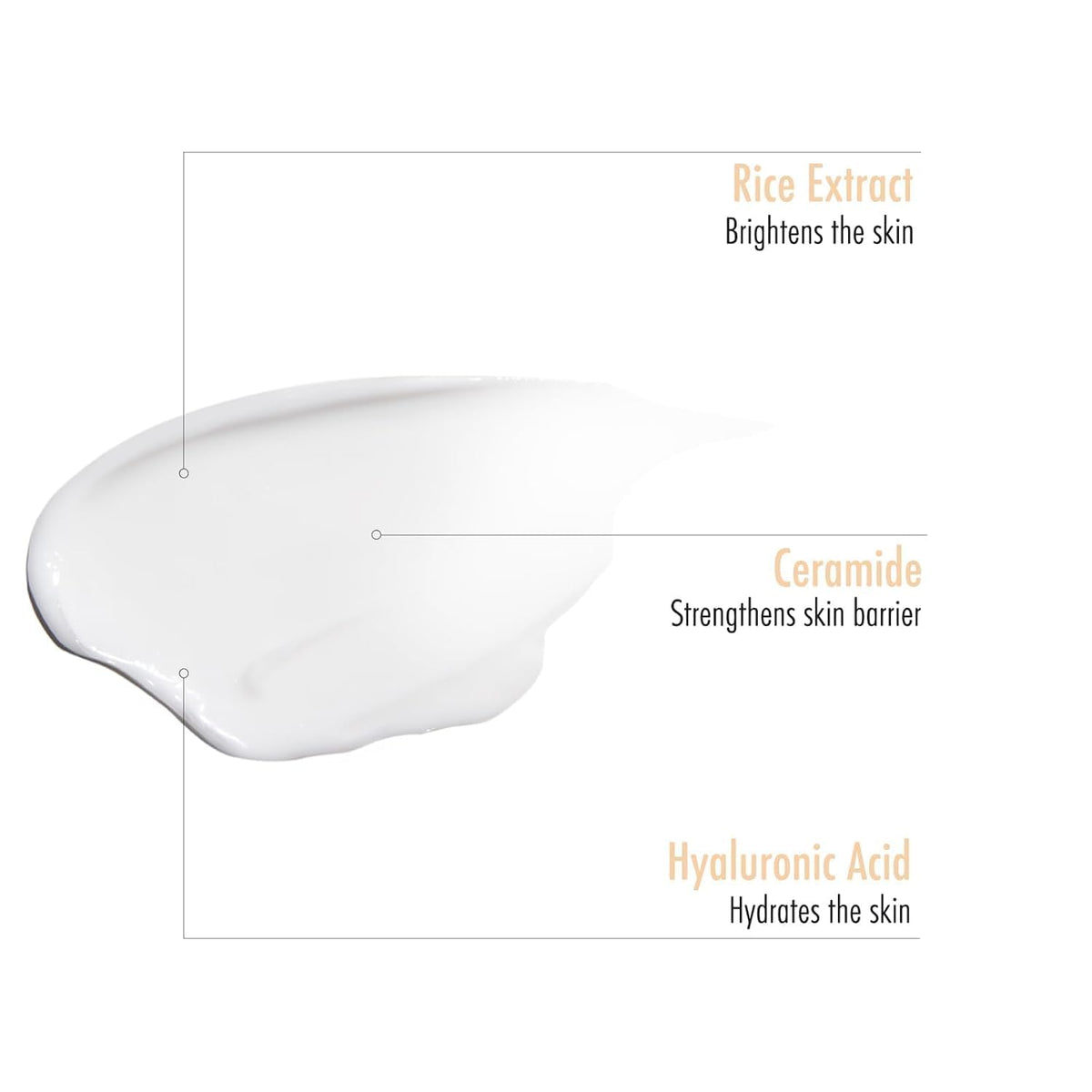 Maruderm Rice Moisturising Glow Cream - maru.derm Official Imagery - 8
