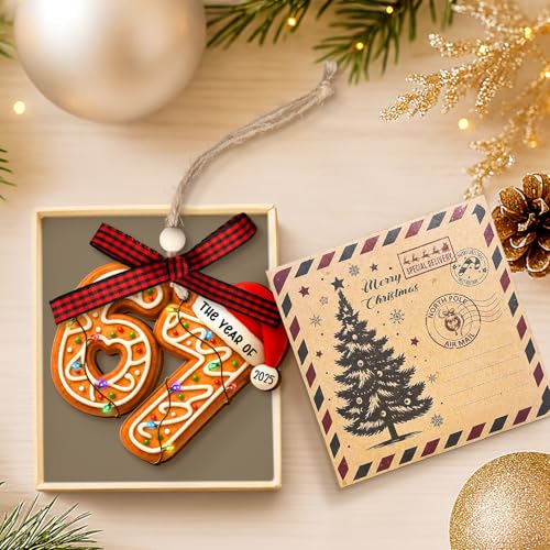 67 Ornament - Gingerbread 6 7 Christmas Ornament - Funny 67 - Product Imagery