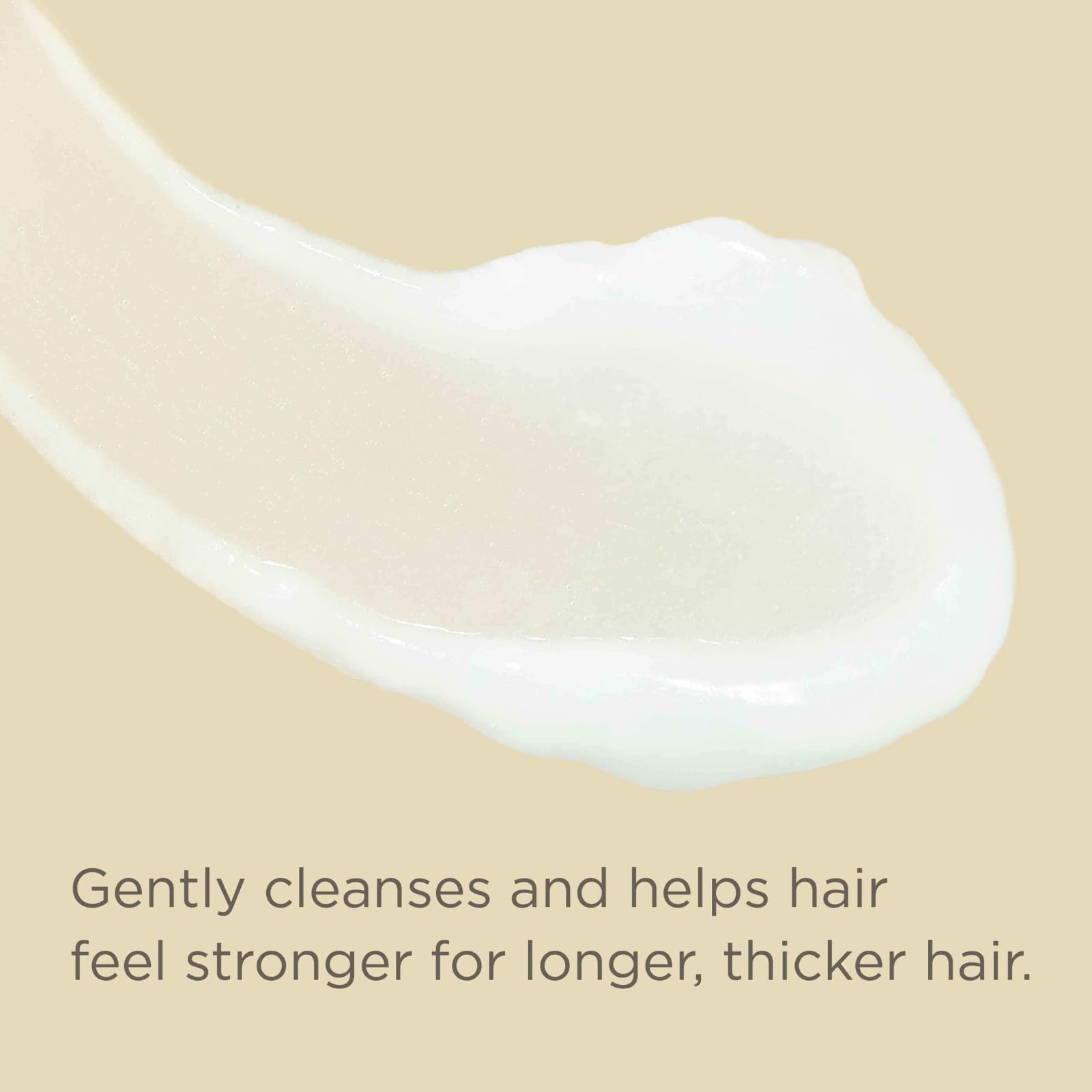 Hairitage Biotin Shampoo for Hair Growth - Sulfate Free Thickening and Volumizing - Hairitage Official Product View 8