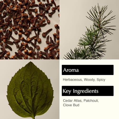 Aesop Eleos Nourishing Body Cleanser | Moisturizing Body Wash - Product Imagery