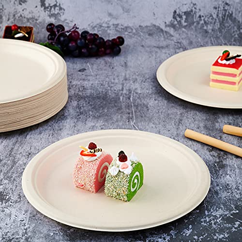 Vplus 150 Pack Compostable Disposable Paper Plates 10 inch Super - Product Imagery
