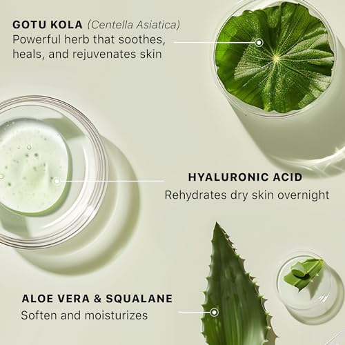 Hyaluronic Acid Moisturizer for Face - USA Made with Organic - Product Imagery