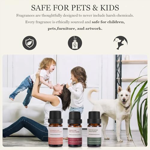 Luxury Hotel Fragrance Oil Set, 3 x 0.34 Fl Oz - Product Imagery