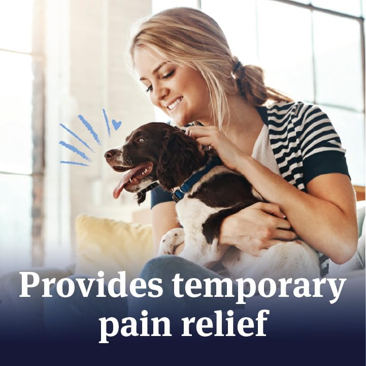 PetArmor aspirin for small dogs, showing fast-acting anti-inflammatory and pain relief medication in packaging with tablets.