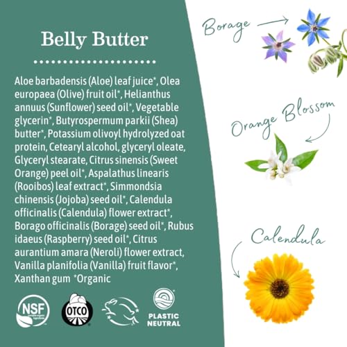 Earth Mama - Belly Butter - 8 fl oz - Product Imagery