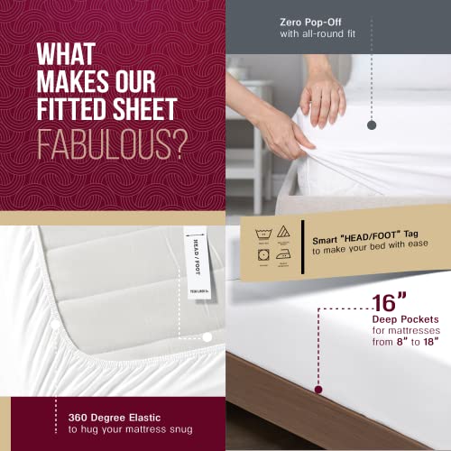 TEXAS LINEN CO. 800 Series Egyptian Cotton Sheets Twin Bed Set, - Product Imagery