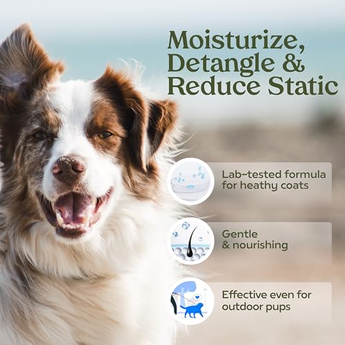 PAWFUME Dog Perfume Spray for Grooming, Blue Ribbon, 2-Pack - Product Imagery