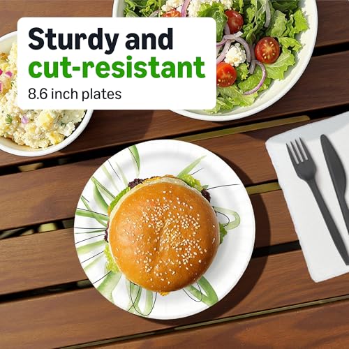 Amazon Basics Everyday Disposable Paper Plates, 8.62 Inch, - Product Imagery
