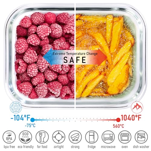 Glass Container Set with Acacia Lids - Product Imagery