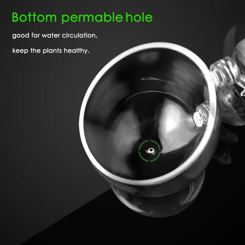 capetsma 4X Crystal Glass Aquarium Plant Pot Aquarium - capetsma Official Imagery - 5