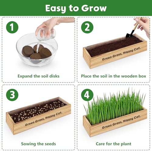 Cat Grass Kit for Indoor Cats, Non-GMO Wheat Cat Grass Seeds - Product Imagery