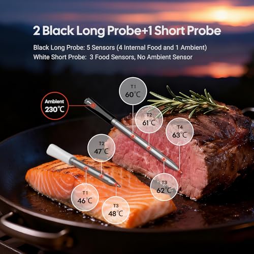 3-Probe Wireless Meat Thermometer with WiFi & Bluetooth, 5-in-1 - Product Imagery