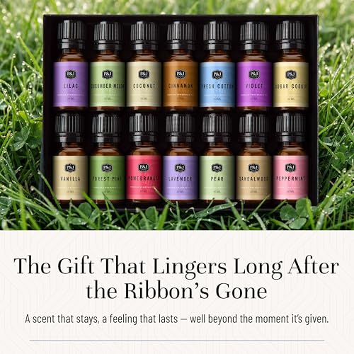 P&J Trading Fragrance Oil Favorite Set | Candle Scents for - Product Imagery