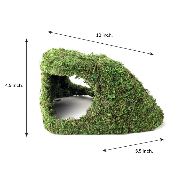 Galápagos Mossy Sapa Corner Reptile Hide showing natural mossy exterior, providing secure shelter for reptiles, amphibians, and invertebrates.