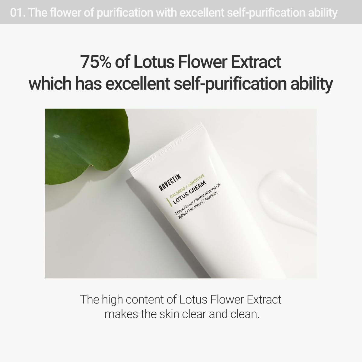 ROVECTIN Calming Lotus Water Cream - ROVECTIN Official Imagery - 6