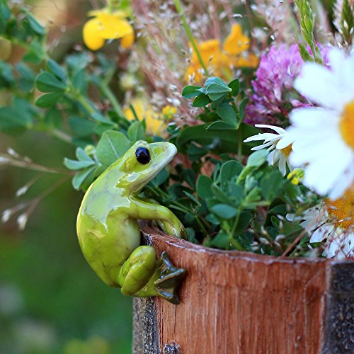 Top Collection Miniature Fairy Garden and Terrarium Frog Flower - Product Imagery