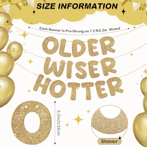 Fulmoon Older Wiser Hotter Banner Birthday sign, Champaign Gold - Product Imagery