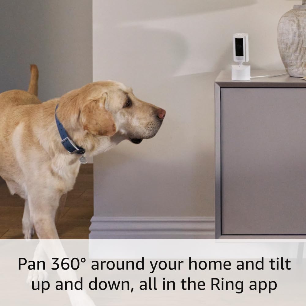 Ring Pan-Tilt Indoor Cam (newest model), See all around your home or business with 360° pan coverage, HD video, plus Two-Way Talk, Black