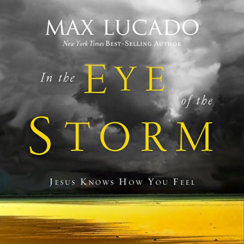 In the Eye of the Storm: Jesus Knows How You Feel - Product Imagery