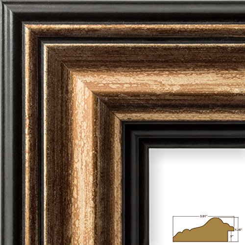 Craig Frames 20x24 Gold Picture Frame Matted to 16x20, Wall - Product Imagery