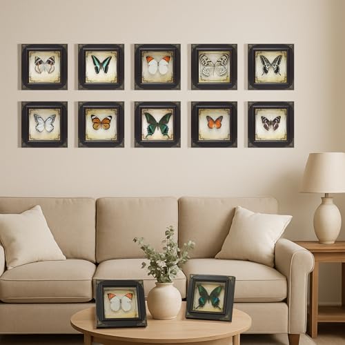 Handmade Real Butterfly Framed with 5 Pieces Gift Set - Gothic - Product Imagery