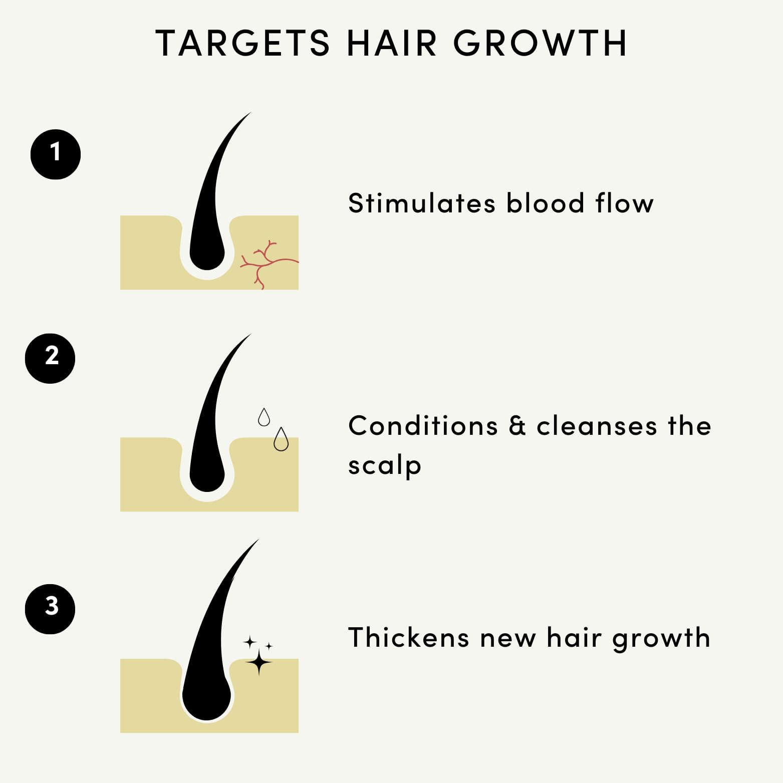 Forest & Shore Hair Growth Oil, 100% Natural, with Caffeine, Biotin, Castor , - Forest & Shore Official Product View 4