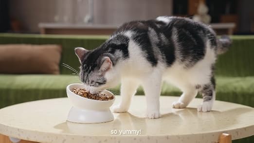 Cudory Taurine for Cats multivitamin treats in a crunchy 90-day supply package, designed to promote feline health and wellness.