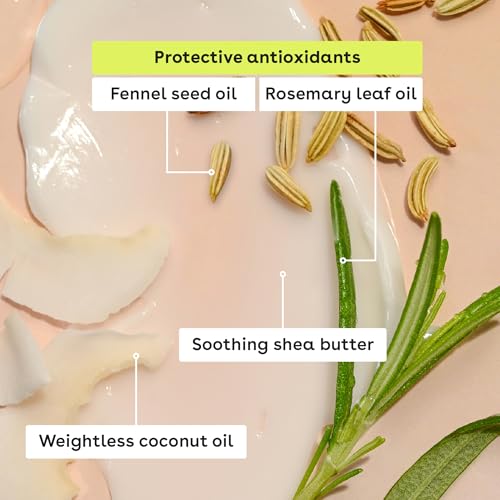 eos 100% Natural Lip Balms- Coconut Milk, Pineapple - Product Imagery