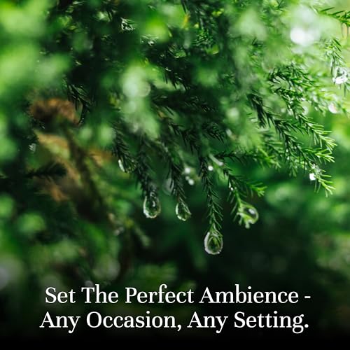 P&J Fragrance Oil Nature Set | Forest Pine, Ocean Breeze, Rain, - Product Imagery