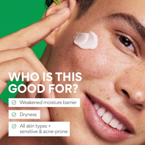 innisfree Green Tea Seed Hyaluronic Acid Cream with Skin Barrier - Product Imagery