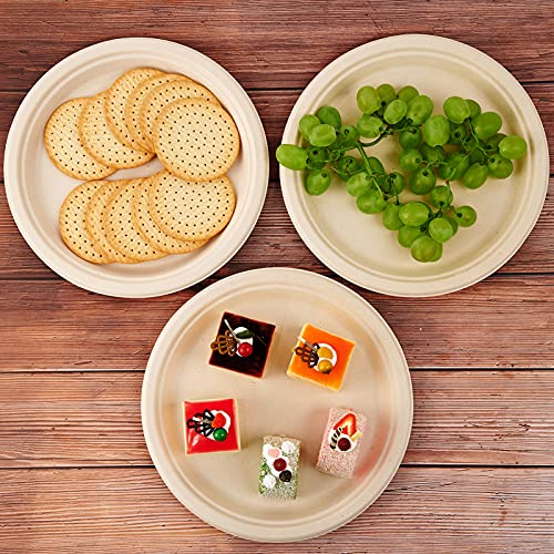Vplus 150 Pack Compostable Disposable Paper Plates 10 inch Super - Product Imagery