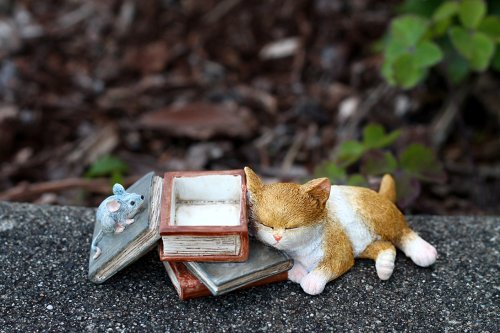 Top Collection Enchanted Story Garden Kitten Napping on Books - Product Imagery
