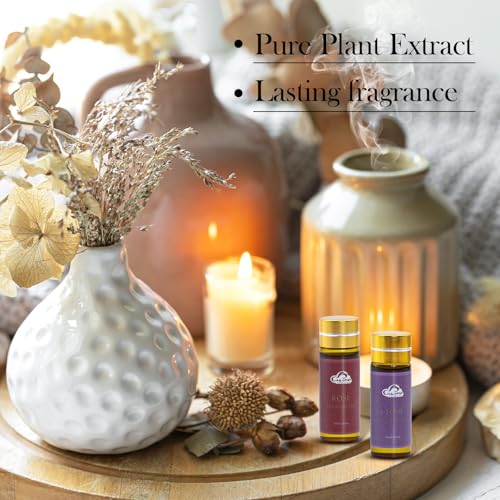 Fragrance Essential Oils Set - 14pcs, Aromatherapy Oils for - Product Imagery