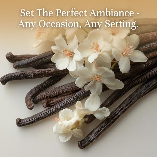 P&J Trading Fragrance | Vanilla Bean Oil 100ml - Candle Scents - Product Imagery