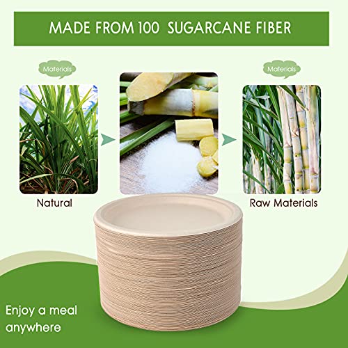 Vplus 150 Pack Compostable Disposable Paper Plates 10 inch Super - Product Imagery