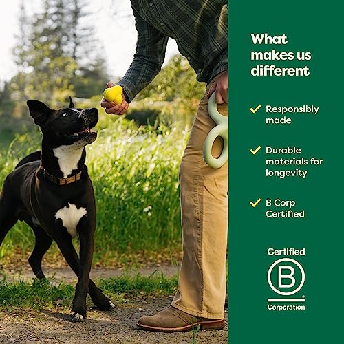 Earth Rated Dog Toy, Enrichment Toys for Adult and Puppy Dogs, - Product Imagery