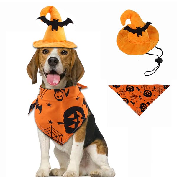 Dog Witch Hat for Halloween - Adjustable Bat Costume for Small - Product Imagery