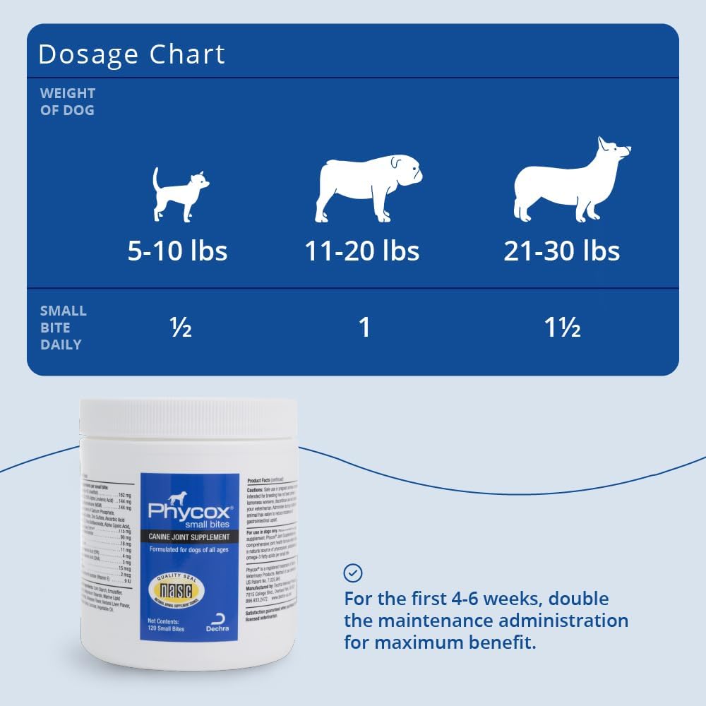 PhyCox small bites joint supplement for dogs, 120 count, featuring soft chew treats to support canine joint health and mobility.