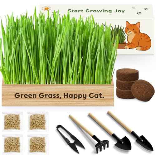 Cat Grass Kit for Indoor Cats, Non-GMO Wheat Cat Grass Seeds - Product Imagery