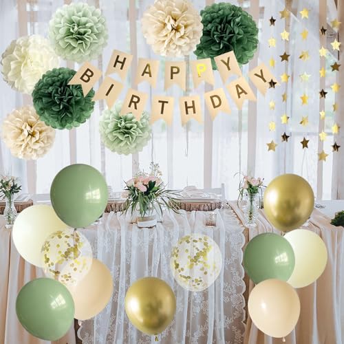 ANSOMO Sage Green Happy Birthday Party Decorations Retro Green - Product Imagery