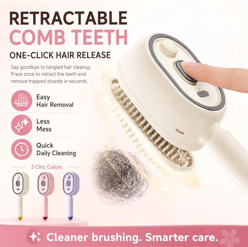 2026 All in One Misting Aqua Detangler Brush Electric Spray Air - Product Imagery